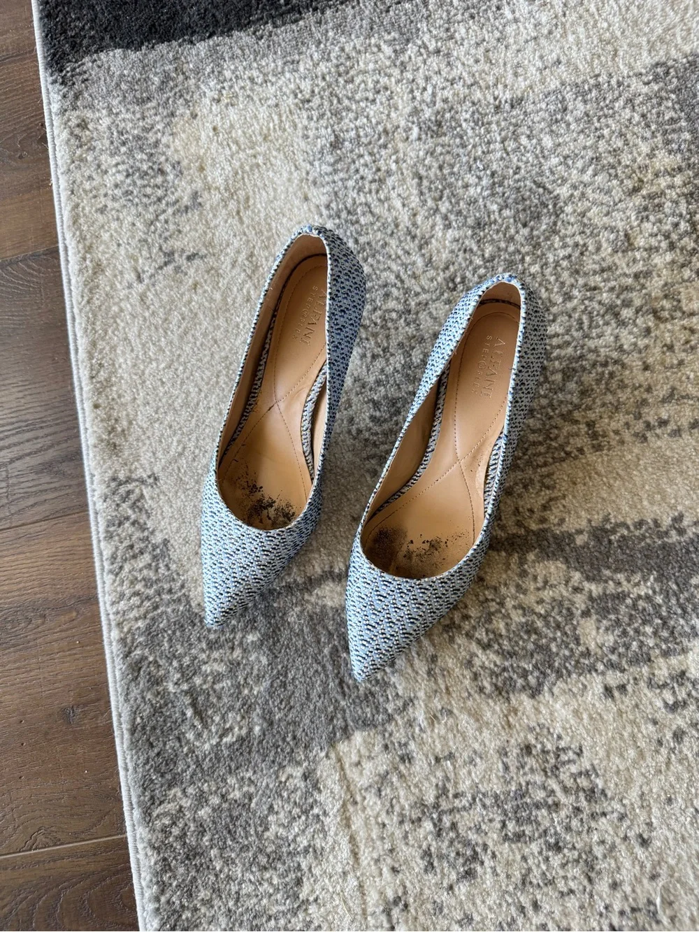 Alfani chic pointed
